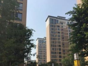 成都租房优选 盛世嘉苑全新装修套二，家电齐全，拎包入住