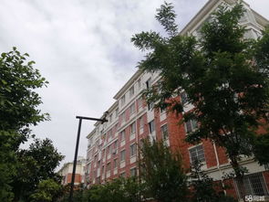 盛世名苑3室2厅147平 学区公园环伺，高性价比宜居之选